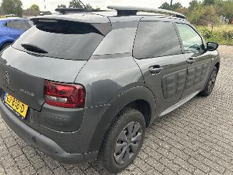 Citroën C4 cactus 1.6 BlueHDI picture 4