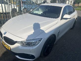BMW 4-serie 420i  Automaat  Gran Coupe  Executive picture 16