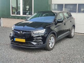 uszkodzony samochody osobowe Opel Grandland 1.2 Turbo Edition Cruise Trekhaak 2020/1