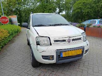 Fiat Panda 1.2 Climbing 4x4 picture 15