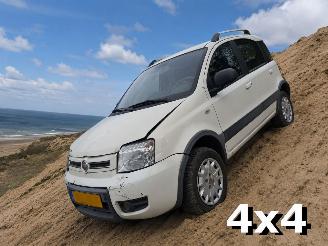 Vaurioauto  passenger cars Fiat Panda 1.2 Climbing 4x4 2010/4