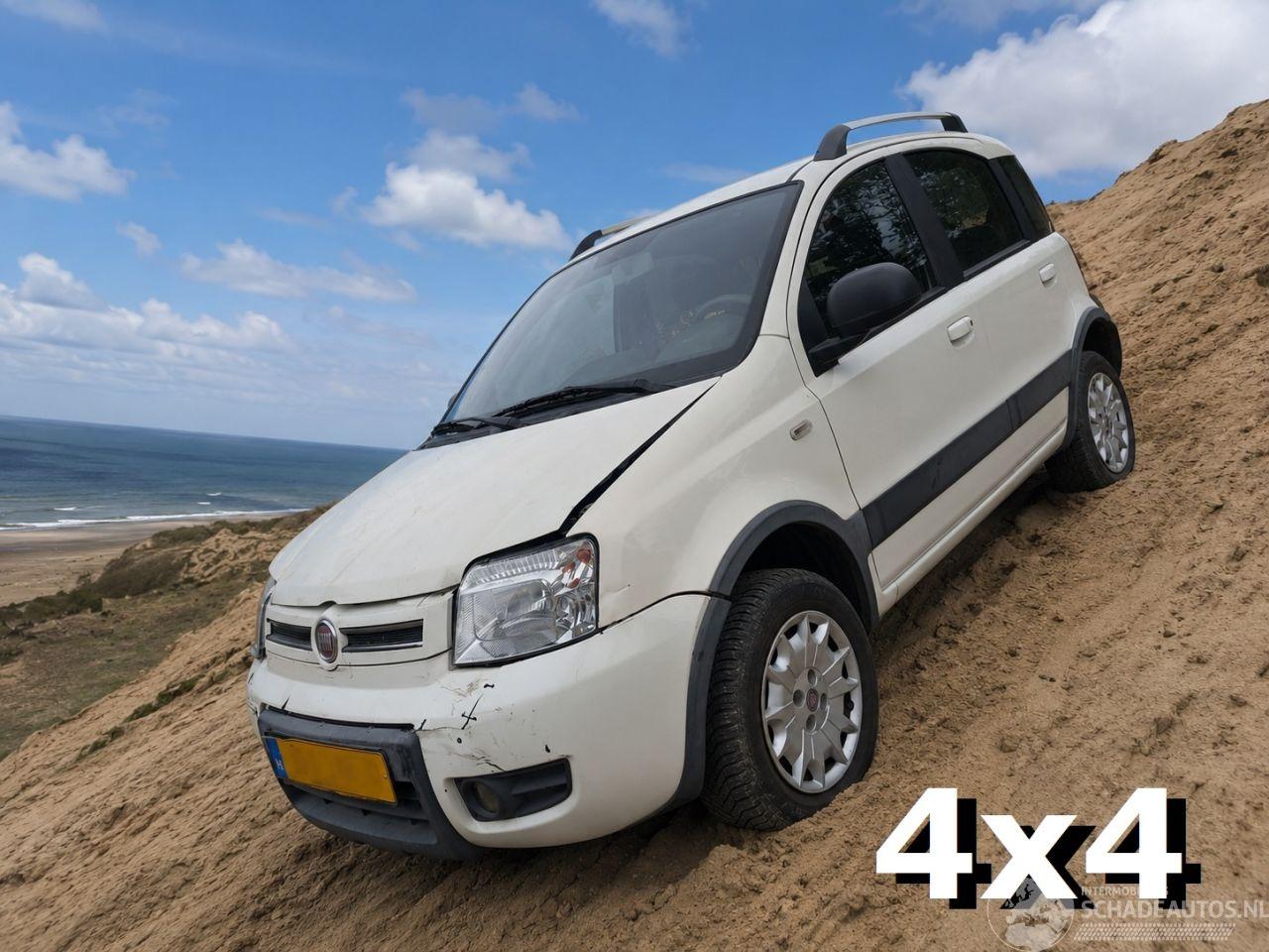 Fiat Panda 1.2 Climbing 4x4
