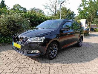 Schadeauto Skoda Fabia Combi 1.0 TSI Business Edition 2019/9