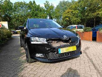 Skoda Fabia Combi 1.0 TSI Business Edition picture 19