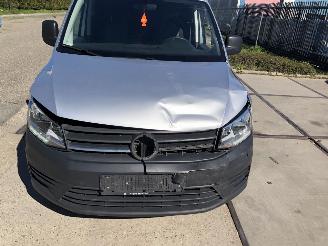 Volkswagen Caddy 2.0tdi 75kW E6 DSG MODIFIED PARTITION WALL picture 11