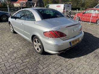 Peugeot 307  picture 28