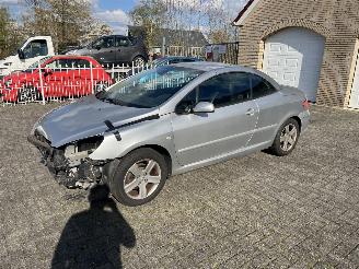 Peugeot 307  picture 27