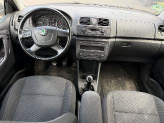 Skoda Fabia 1.2 TDI Greenline picture 9