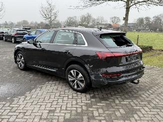 Audi Q8 E-Tron 50 Quattro picture 4