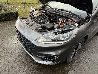 Ford Kuga ST-Line / Automaat / Panorama picture 6