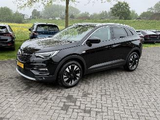 škoda osobní automobily Opel Grandland X 1.2 Turbo / Automaat / Leer 2020/10