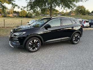Damaged car Opel Grandland X 1.2 Turbo / Automaat / Leer 2020/10
