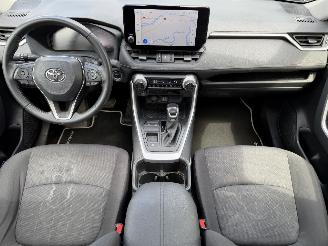 Toyota Rav-4 2.5 Hybrid / 131 KW / Panorama dak picture 15