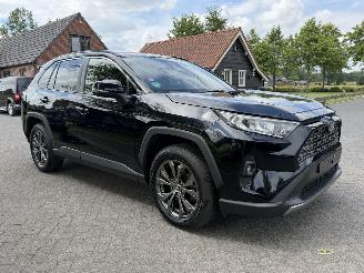 Toyota Rav-4 2.5 Hybrid / 131 KW / Panorama dak picture 3