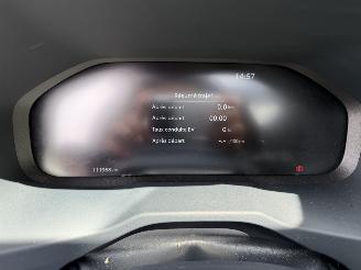 Toyota Rav-4 2.5 Hybrid / 131 KW / Panorama dak picture 13