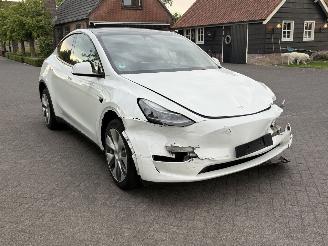 Tesla Model Y RWD 58 kWh / Panorama picture 3