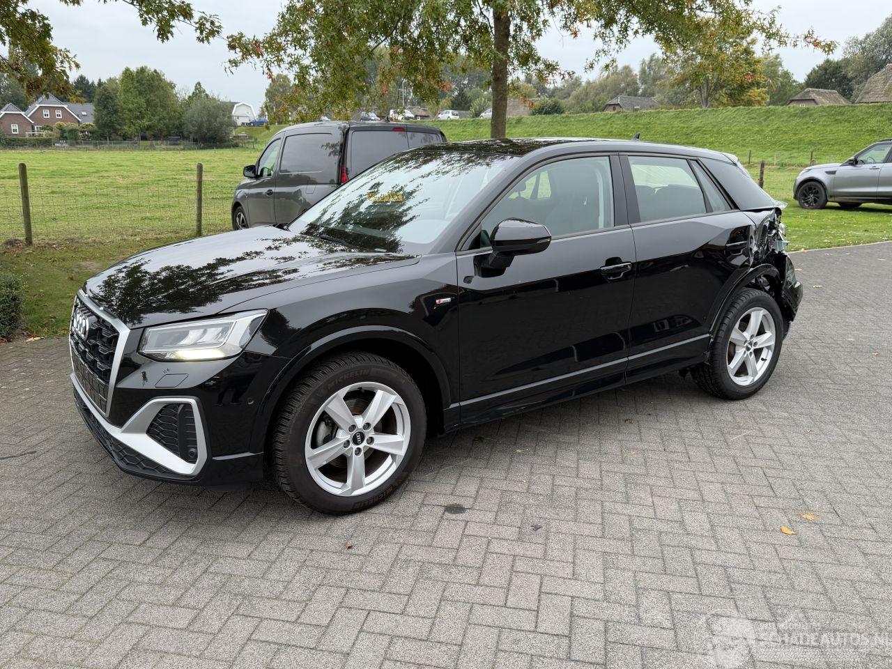 Audi Q2 S-line / Panorama / Leer