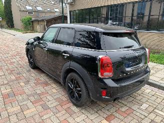 Mini Countryman  picture 6