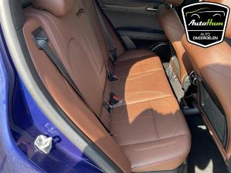 Alfa Romeo Stelvio Stelvio (949), SUV, 2017 2.0 T 16V Q4 picture 33