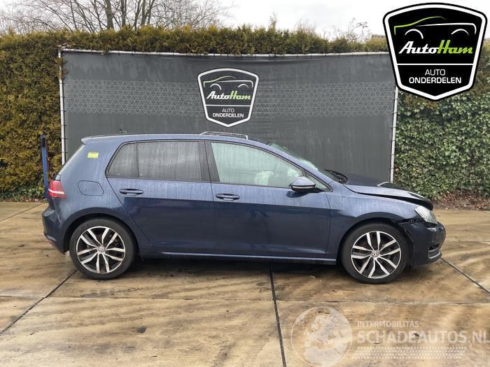 Volkswagen Golf Golf VII (AUA), Hatchback, 2012 / 2021 1.2 TSI 16V