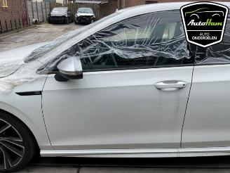 Volkswagen Golf Golf VIII (CD1), Hatchback, 2019 2.0 TSI R 16V 4Motion picture 8