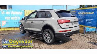 Audi SQ5 SQ5 (FYB/FYG), SUV, 2016 3.0 TFSI V6 24V picture 1