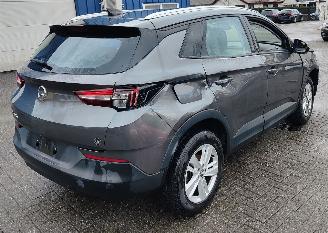 Opel Grandland Opel Grandland (X) edition automatiek picture 3