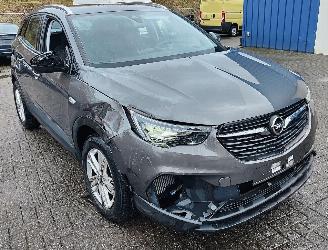 Opel Grandland Opel Grandland (X) edition automatiek picture 4