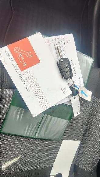 Citroën C4 cactus Citroën C4 Cactus Feel navi camera picture 12