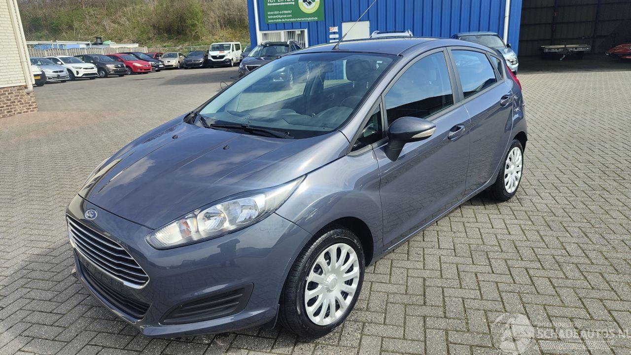 Ford Fiesta Ford Fiesta Trend top staat