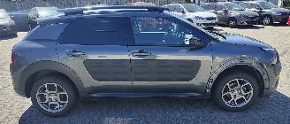 Citroën C4 cactus Citroën C4 Cactus Shine picture 5