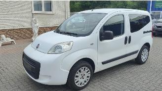 Fiat Qubo qubo pop moterschade picture 14