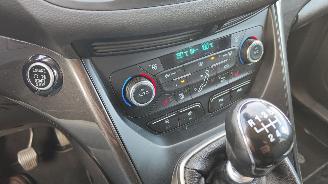 Ford C-Max FORD C-Max C-MAX Titanium picture 18