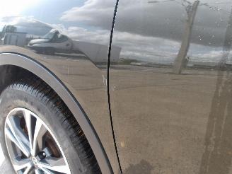 Nissan X-Trail  picture 11
