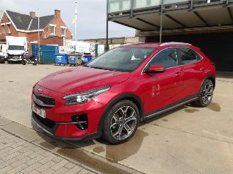 krockskadad bil auto Kia Xceed  2020/1