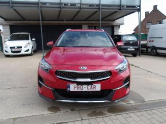 Kia Xceed  picture 3