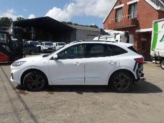 Ford Kuga ST LINE picture 10