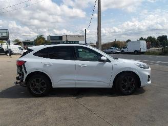 Ford Kuga ST LINE picture 6