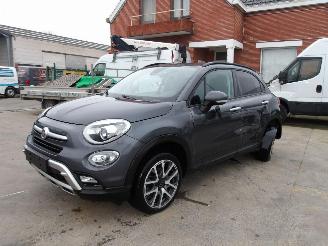 Fiat 500X  picture 1