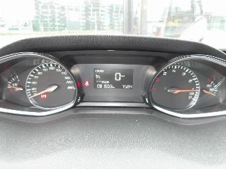 Peugeot 308  picture 16