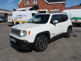 Jeep Renegade  picture 1