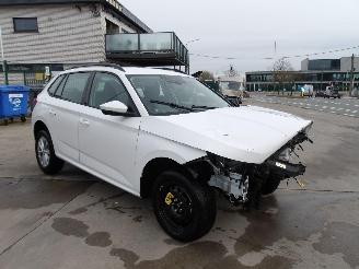 uszkodzony samochody osobowe Skoda Kamiq  2024/12