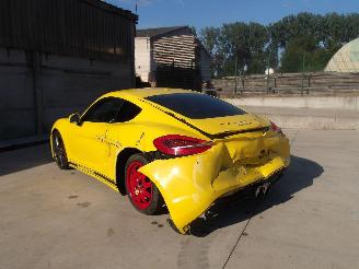 Porsche Cayman  picture 7
