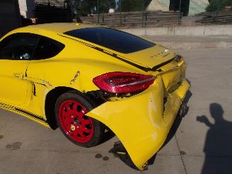 Porsche Cayman  picture 12