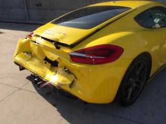Porsche Cayman  picture 14