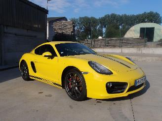 Porsche Cayman  picture 1