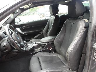 BMW M2  picture 18