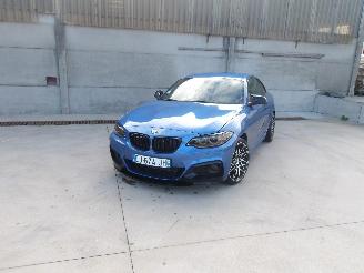 skadebil auto BMW 2-serie  2017/1