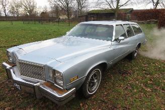 uszkodzony samochody osobowe Buick Century CUSTOM V8 STATIONWAGON 1976/6