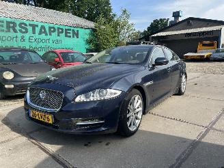 skadebil auto Jaguar XJ 5.0 V8 PREMIUM LUXURY 2010/7